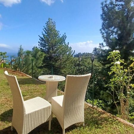 Logement Cosy Avec Piscine Et Vue Tahiti Punaauia Eksteriør billede