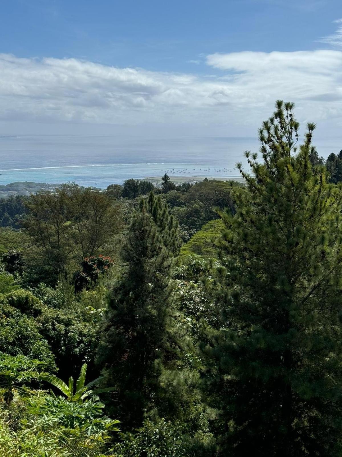 Logement Cosy Avec Piscine Et Vue Tahiti Punaauia Eksteriør billede